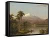 Tamaca Palms, 1854-Frederic Edwin Church-Framed Stretched Canvas