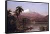 Tamaca Palms-Frederic Edwin Church-Framed Stretched Canvas