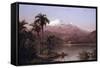 Tamaca Palms-Frederic Edwin Church-Framed Stretched Canvas