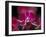 Taman Orchid, Kuala Lumpur, Malaysia-Michele Molinari-Framed Premium Photographic Print