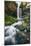 Tamanawas Falls, Mount Hood Wilderness, Oregon-Vincent James-Mounted Photographic Print