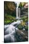 Tamanawas Falls, Mount Hood Wilderness, Oregon-Vincent James-Stretched Canvas