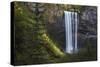 Tamanawas Falls-Everlook Photography-Stretched Canvas