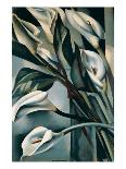 Arums II-Tamara de Lempicka-Premium Giclee Print