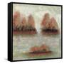 Tamarac Shores I-Jack Roth-Framed Stretched Canvas