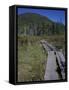 Tamarack Bog Bridge on the Lonesome Lake Trail, New Hampshire, USA-Jerry & Marcy Monkman-Framed Stretched Canvas