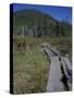 Tamarack Bog Bridge on the Lonesome Lake Trail, New Hampshire, USA-Jerry & Marcy Monkman-Stretched Canvas