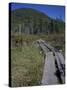 Tamarack Bog Bridge on the Lonesome Lake Trail, New Hampshire, USA-Jerry & Marcy Monkman-Stretched Canvas