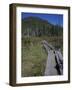 Tamarack Bog Bridge on the Lonesome Lake Trail, New Hampshire, USA-Jerry & Marcy Monkman-Framed Photographic Print