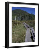 Tamarack Bog Bridge on the Lonesome Lake Trail, New Hampshire, USA-Jerry & Marcy Monkman-Framed Photographic Print