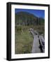 Tamarack Bog Bridge on the Lonesome Lake Trail, New Hampshire, USA-Jerry & Marcy Monkman-Framed Photographic Print