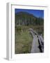 Tamarack Bog Bridge on the Lonesome Lake Trail, New Hampshire, USA-Jerry & Marcy Monkman-Framed Photographic Print