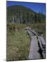 Tamarack Bog Bridge on the Lonesome Lake Trail, New Hampshire, USA-Jerry & Marcy Monkman-Mounted Photographic Print