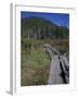 Tamarack Bog Bridge on the Lonesome Lake Trail, New Hampshire, USA-Jerry & Marcy Monkman-Framed Photographic Print