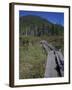 Tamarack Bog Bridge on the Lonesome Lake Trail, New Hampshire, USA-Jerry & Marcy Monkman-Framed Photographic Print