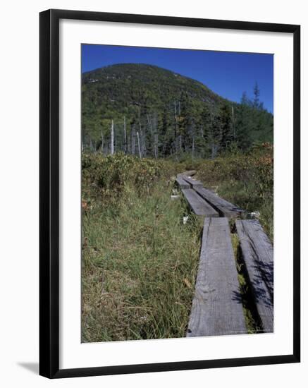 Tamarack Bog Bridge on the Lonesome Lake Trail, New Hampshire, USA-Jerry & Marcy Monkman-Framed Photographic Print