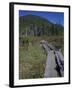 Tamarack Bog Bridge on the Lonesome Lake Trail, New Hampshire, USA-Jerry & Marcy Monkman-Framed Photographic Print