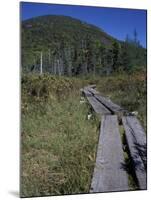 Tamarack Bog Bridge on the Lonesome Lake Trail, New Hampshire, USA-Jerry & Marcy Monkman-Mounted Photographic Print