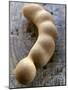 Tamarind-Nicolas Leser-Mounted Photographic Print