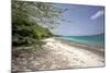 Tamarindo Bay Culebra Puerto Rico-George Oze-Mounted Photographic Print