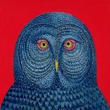 Long-Eared Owl, 2015-Tamas Galambos-Giclee Print