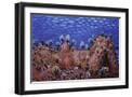 Black Frame