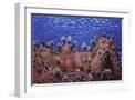 White Frame