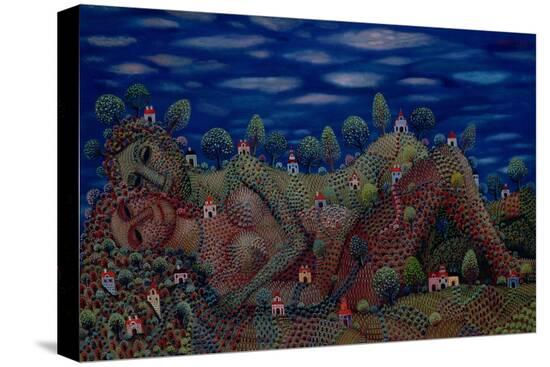Stretched Canvas Print, , large