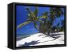 Tambua Sands, Coral Coast, Fiji-David Wall-Framed Stretched Canvas