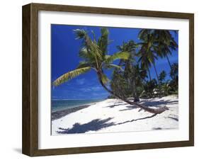 Tambua Sands, Coral Coast, Fiji-David Wall-Framed Premium Photographic Print