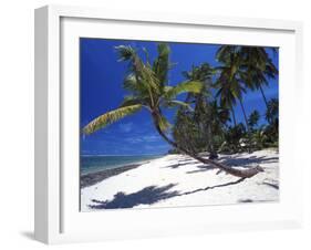 Tambua Sands, Coral Coast, Fiji-David Wall-Framed Premium Photographic Print