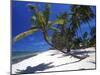 Tambua Sands, Coral Coast, Fiji-David Wall-Mounted Premium Photographic Print