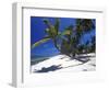 Tambua Sands, Coral Coast, Fiji-David Wall-Framed Photographic Print