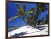 Tambua Sands, Coral Coast, Fiji-David Wall-Framed Photographic Print