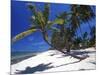 Tambua Sands, Coral Coast, Fiji-David Wall-Mounted Photographic Print