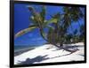 Tambua Sands, Coral Coast, Fiji-David Wall-Framed Photographic Print