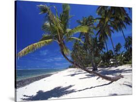 Tambua Sands, Coral Coast, Fiji-David Wall-Stretched Canvas