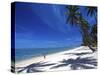 Tambua Sands Resort, Girl on Beach and Coconut Palm Trees, Coral Coast, Melanesia-David Wall-Stretched Canvas