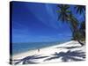 Tambua Sands Resort, Girl on Beach and Coconut Palm Trees, Coral Coast, Melanesia-David Wall-Stretched Canvas