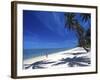 Tambua Sands Resort, Girl on Beach and Coconut Palm Trees, Coral Coast, Melanesia-David Wall-Framed Photographic Print