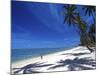 Tambua Sands Resort, Girl on Beach and Coconut Palm Trees, Coral Coast, Melanesia-David Wall-Mounted Photographic Print