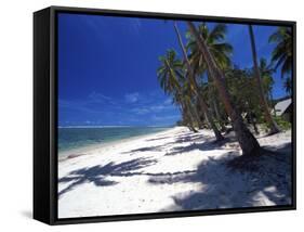 Tambua Sands Resort, Palm Trees and Shadows on Beach, Coral Coast, Melanesia-David Wall-Framed Stretched Canvas