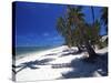 Tambua Sands Resort, Palm Trees and Shadows on Beach, Coral Coast, Melanesia-David Wall-Stretched Canvas