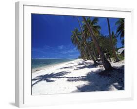 Tambua Sands Resort, Palm Trees and Shadows on Beach, Coral Coast, Melanesia-David Wall-Framed Photographic Print