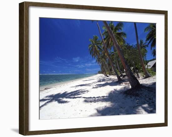 Tambua Sands Resort, Palm Trees and Shadows on Beach, Coral Coast, Melanesia-David Wall-Framed Photographic Print