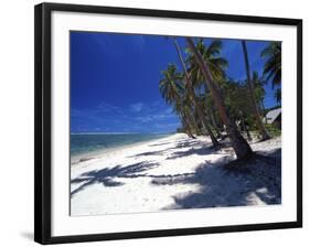 Tambua Sands Resort, Palm Trees and Shadows on Beach, Coral Coast, Melanesia-David Wall-Framed Photographic Print