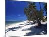 Tambua Sands Resort, Palm Trees and Shadows on Beach, Coral Coast, Melanesia-David Wall-Mounted Photographic Print