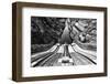 Tame the river-Filipe P Neto-Framed Photographic Print