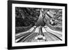 Tame the river-Filipe P Neto-Framed Photographic Print