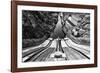 Tame the river-Filipe P Neto-Framed Photographic Print